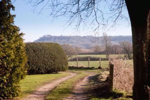2/3 Hays Park_Communal Grounds- click for photo gallery